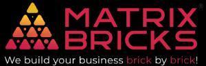 Grow Your Brand with YouTube Ads Company in Dubai, Abu Dhabi & Sharjah by Matrix Bricks