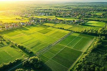 What Are the Plot Sizes Available at Century Plots Yelahanka?
