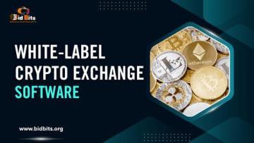Connect Liquidity Sources with White-Label Crypto Exchange Software