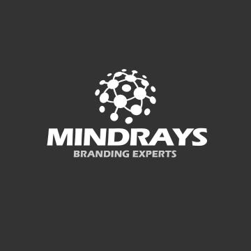Top SEO & Branding Company in Delhi – MindRays Branding Experts