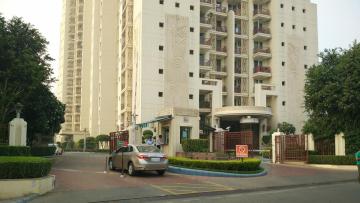 DLF The Summit Gurgaon On Sale | Resale Apartments