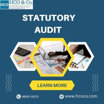 How Does a Statutory audit company Examine Company Accounts?