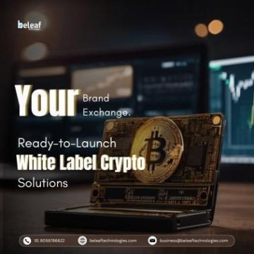 The Smart Way to Launch a Crypto Exchange