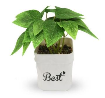 Shweta Enterprise - Artificial Plants & Grass