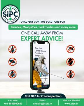Termite Control Services in Trivandrum | Professional Termite Treatment by SIPC