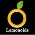 seo services in mehdipatnam - Lemonoids
