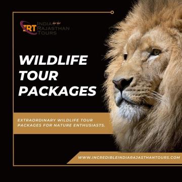 Experience India’s Wild Beauty with Exciting Safari Tours