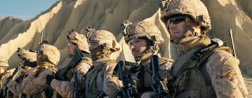 Top VA Accredited Attorneys | Veteran Law Support