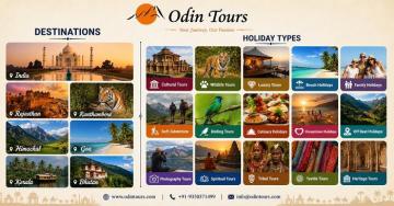 Tiger Safari Central India