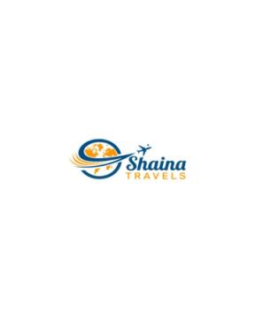 Best Tours and Travels for Honeymoon Packages – Shaina Travels