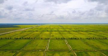 Mahindra Green Estates GST Road Chennai Plot Investment