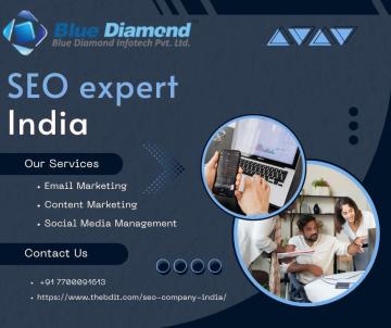 SEO Expert India – Grow Your Business with Blue Diamond