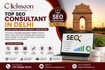 Top SEO Consultant in Delhi