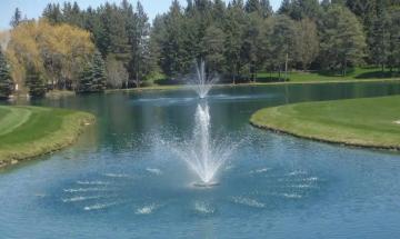 Pond Perfections