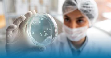 Pharmacovigilance Services in Germany