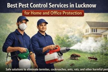 Best Pest Control Services in Lucknow for Home and Office Protection