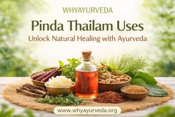 Pinda Thailam Uses: Benefits, Uses of Pinda Taila