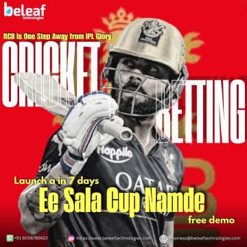 RCB Is One Step Away from IPL Glory Build Your Betting App