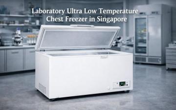 Chest Freezer Singapore with Premium Quality and Long Durability