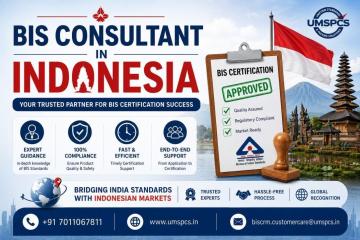 Where Can I Find a BIS Consultant in Indonesia?
