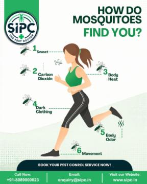 Expert Cockroach Control Services in Trivandrum | Trusted Roach Exterminator | SIPC