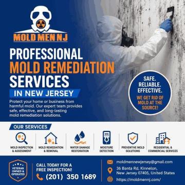 Professional Mold Remediation Services in New Jersey – Mold Men NJ