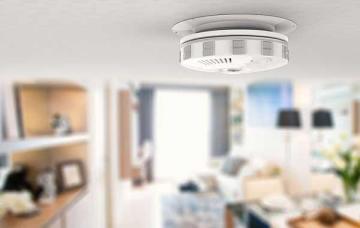 Termite Exterminating Near Me