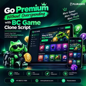 Premium Gaming, Budget-Friendly BC Game Clone Script