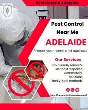 Pest Control Adelaide | Fast, Safe & Trusted Service
