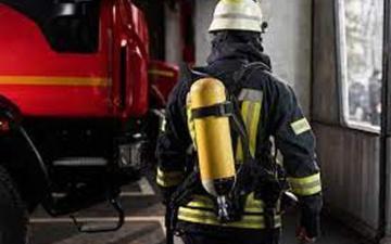 Professional Security Services by Custodian