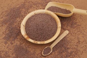 Gayatri Psyllium Industries - Psyllium Husk powder manufacturers in India
