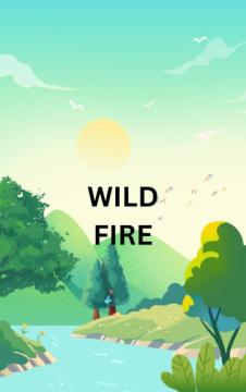 Wildfire