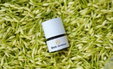 Natural Absolutes Manufacturer and Supplier in India | Rich Aromas