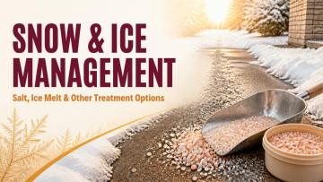 Snow & Ice Management : Salt, Ice Melt & Other Treatment Options