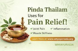 Pinda Thailam Uses for Pain Relief | Benefits of Pinda Oil & Uses of Pinda Taila