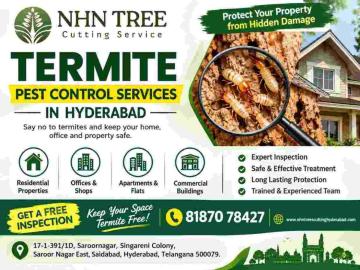 Termite Pest Control Services in Hyderabad