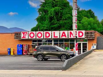 Exploring Foodland: A Taste of Nature in New Zealand