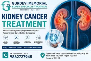 Kidney Cancer Treatment with Advanced Medical Support
