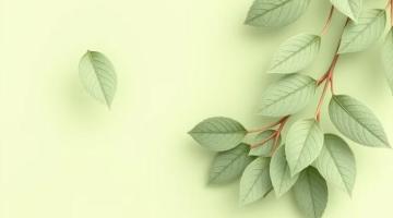 Earth and Essence IV Spa