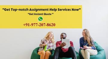 Acquire amazing online assignment help for the university assignments: