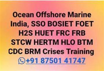 FRB HLO Passenger Ship Training in Mumbai