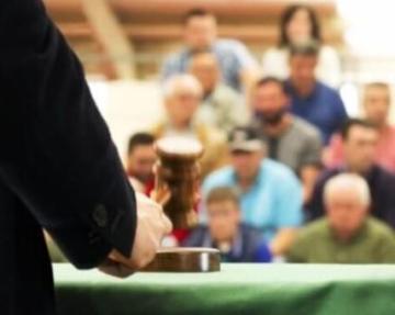 Kiefer Auctioneers – Reliable Texas Auction Company