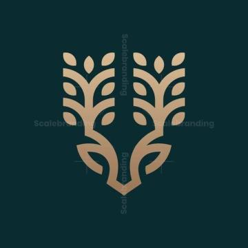 Ideal Designs is a full-service branding and creative agency based in Hyderabad and Bangalore, offer