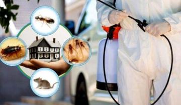 Pest Control Service in Gurgaon
