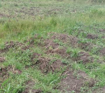 1,100 Acres for Sale in Laikipia North, Rumuruti KENYA Ksh. 200K/Acre