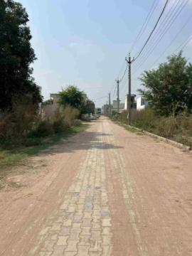 Affordable Residential Plots Near Chandigarh–Kurali Highway