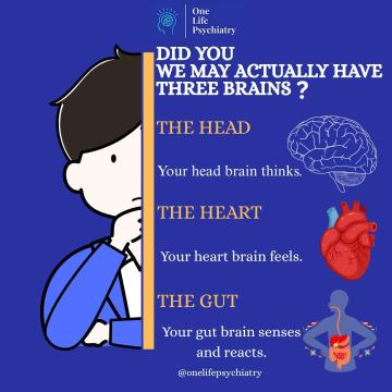How to Know If Your Child Needs a Child Psychiatrist