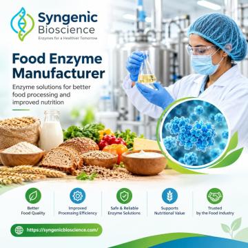 How Food Enzyme Manufacturers Maintain Batch-to-Batch Consistency