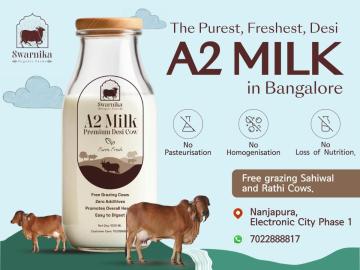 a2 cow milk in electronic city