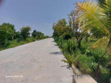 Premium Farm Units for Sale Near Ghati Subramanya Road – Doddaballapura